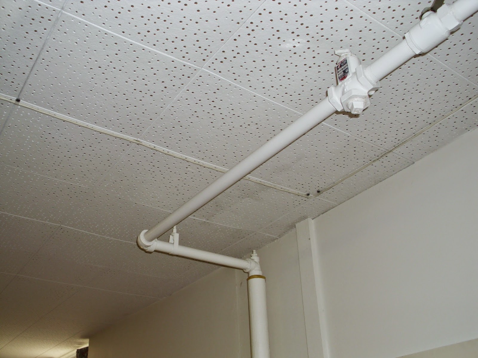 141028_105012_i1237_2596